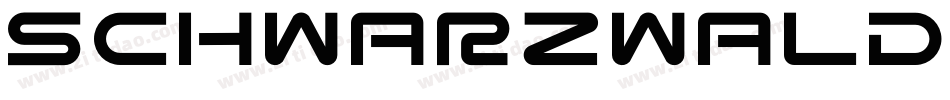 Schwarzwald Regular字体转换